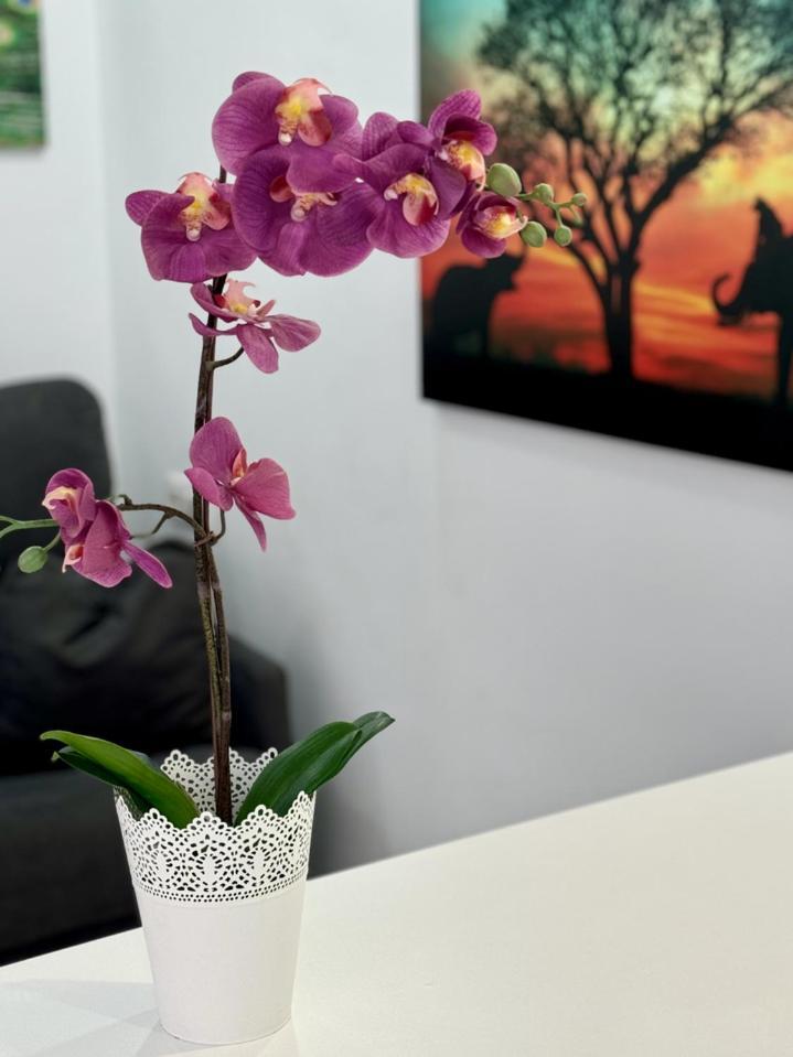 San Eugenio Charming Renovated Apartment Tenerife Costa Adeje  Extérieur photo