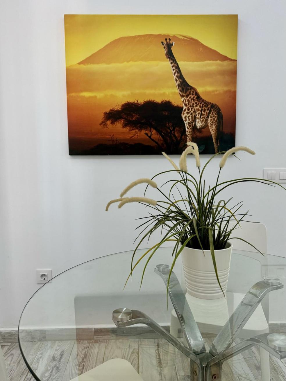 San Eugenio Charming Renovated Apartment Tenerife Costa Adeje  Extérieur photo