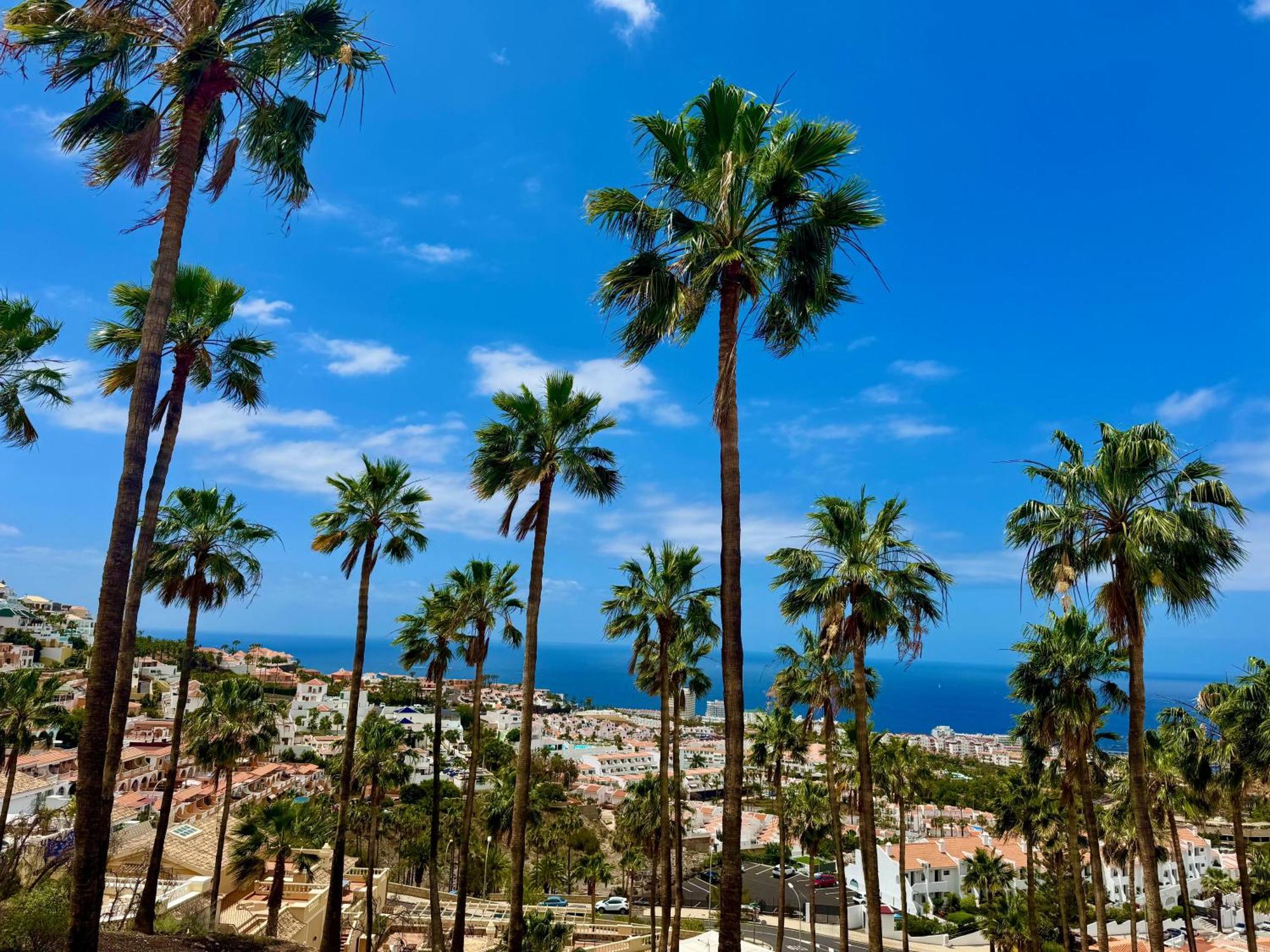 San Eugenio Charming Renovated Apartment Tenerife Costa Adeje  Extérieur photo
