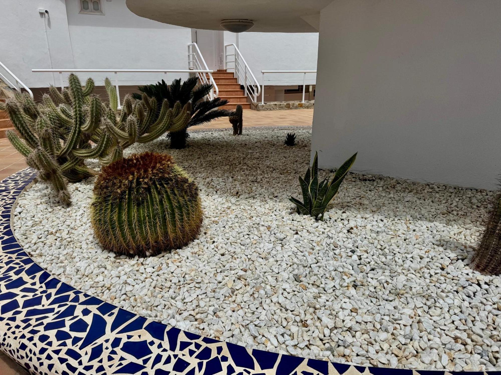 San Eugenio Charming Renovated Apartment Tenerife Costa Adeje  Extérieur photo